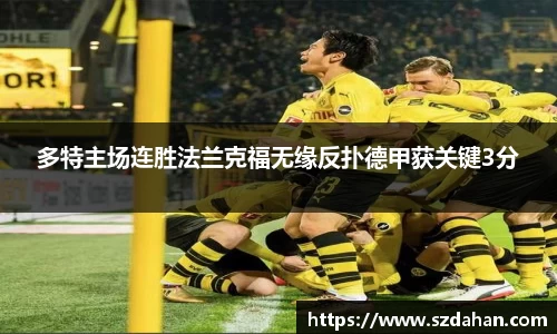 完美体育官网
